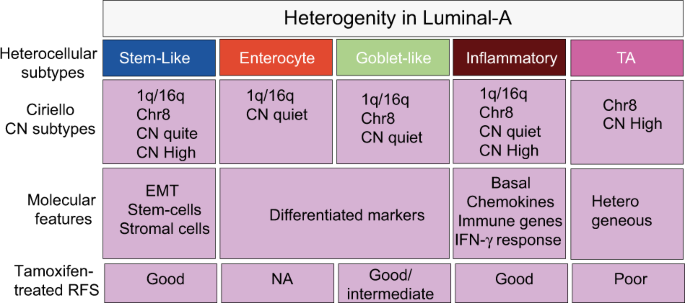 Heterocellular gene signatures reveal luminal-A breast cancer heterogeneity  and differential therapeutic responses | npj Breast Cancer