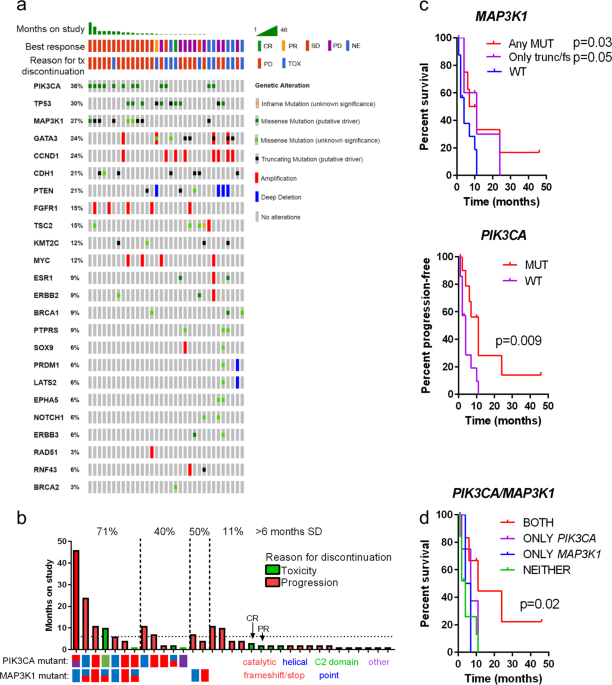 Pik3ca and map3k1 alterations imply luminal a status and are associated with clinical benefit from pan-pi3k inhibitor buparlisib and letrozole in er+ metastatic breast cancer