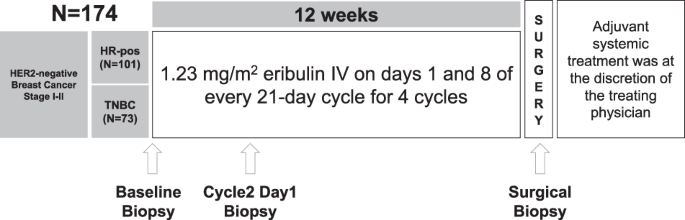 Patient Characteristics at the Day Before Surgery and Biopsy Obtainment.