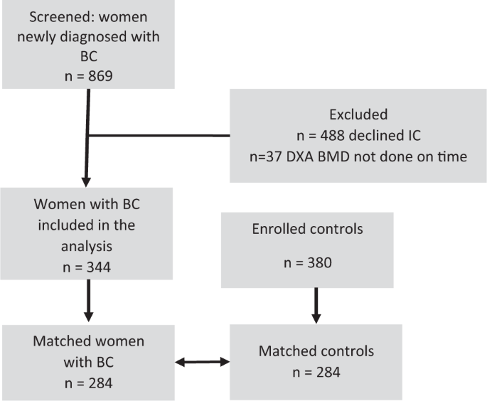 Bone mineral density in women newly diagnosed with breast cancer: a  prospective cohort study