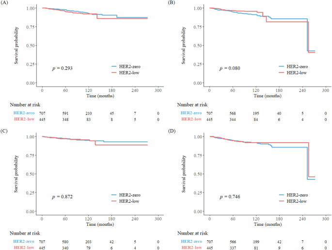 Prognostic difference between early breast cancer patients with HER2 ...