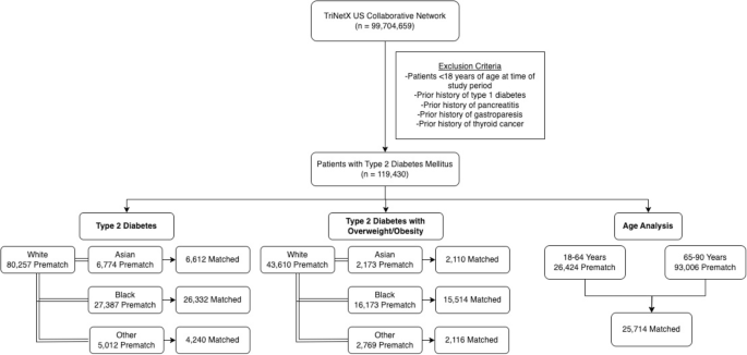 Racial and demographic disparities in glp-1ra use among breast cancer ...