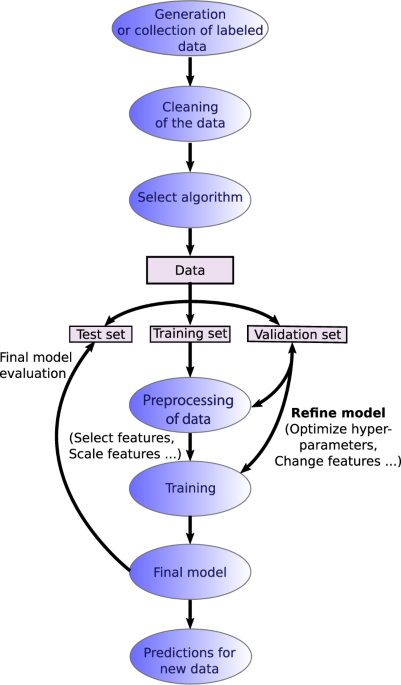 essential machine learning algorithms