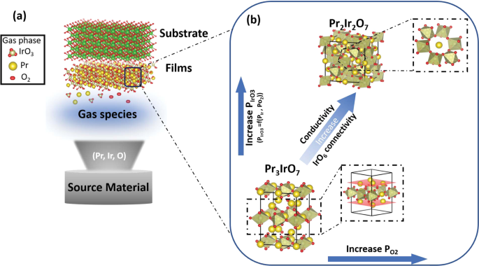 Searching for a route to synthesize in situ epitaxial Pr2Ir2O7 thin films with thermodynamic methods