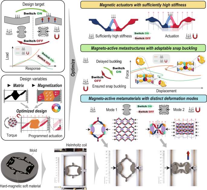 Encoding reprogrammable properties into magneto-mechanical 