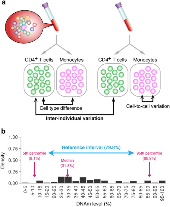 PDF) ZBTB12 DNA methylation is associated with coagulation- and