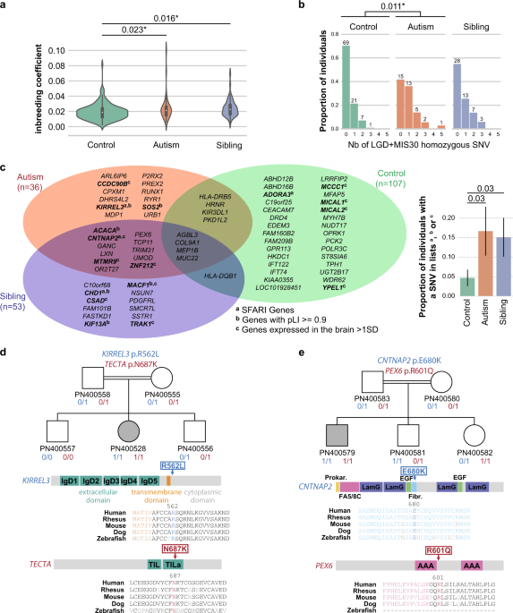 both rare and common genetic variants contribute to autism in the autism venn diagram