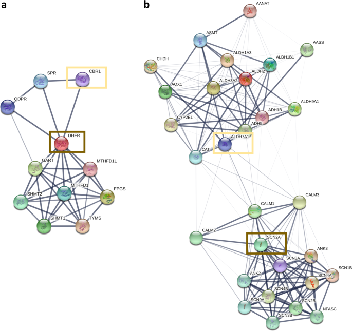 metPropagate: network-guided propagation of metabolomic information for prioritization of metabolic