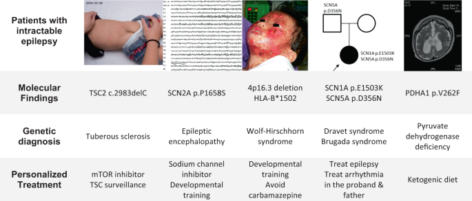Rare versus common diseases: a false dichotomy in precision medicine | npj  Genomic Medicine
