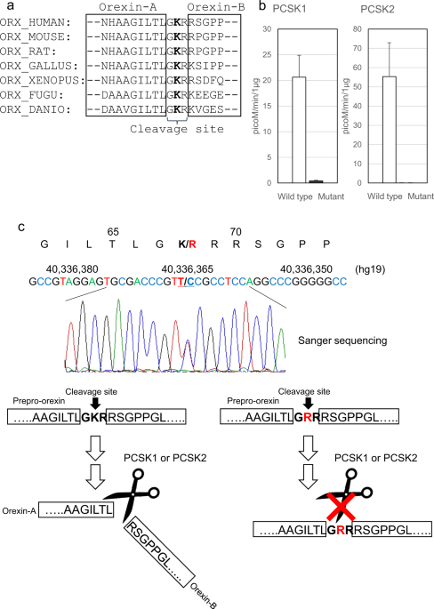 A rare genetic variant in the cleavage site of prepro-orexin is associated with idiopathic hypersomnia