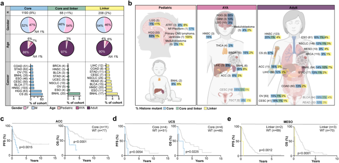 Pan-cancer atlas of somatic core and linker histone mutations