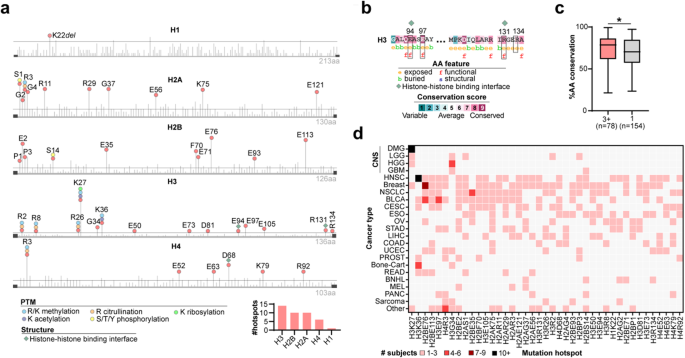 Pan-cancer atlas of somatic core and linker histone mutations