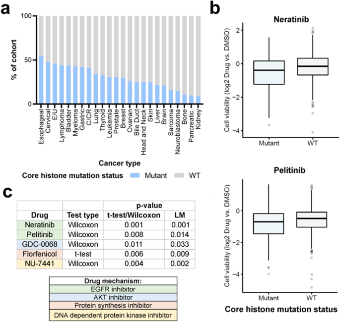 Pan-cancer atlas of somatic core and linker histone mutations