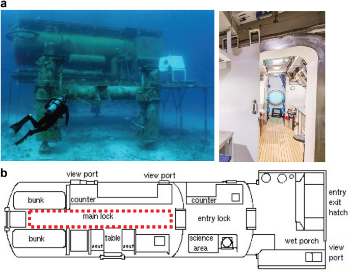 Exposure to an extreme environment comes at a sensorimotor 