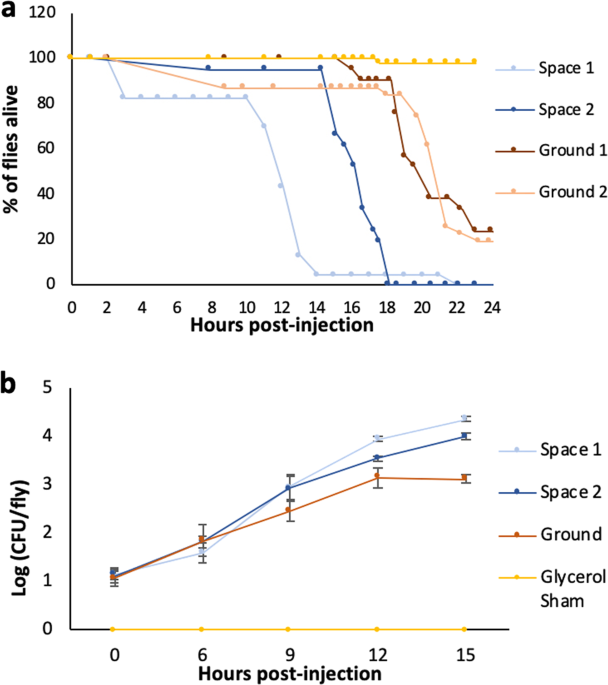 Spaceflight And Simulated Microgravity Conditions Increase Virulence Of Serratia Marcescens In The Drosophila Melanogaster Infection Model Npj Microgravity
