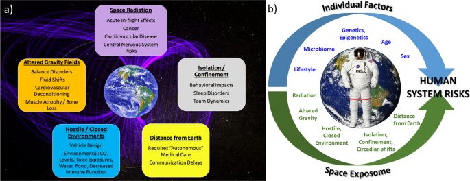 Astronauts Uncover Impact of Long Spaceflights on Sleep: Illuminating the Physical and Mental Challenges