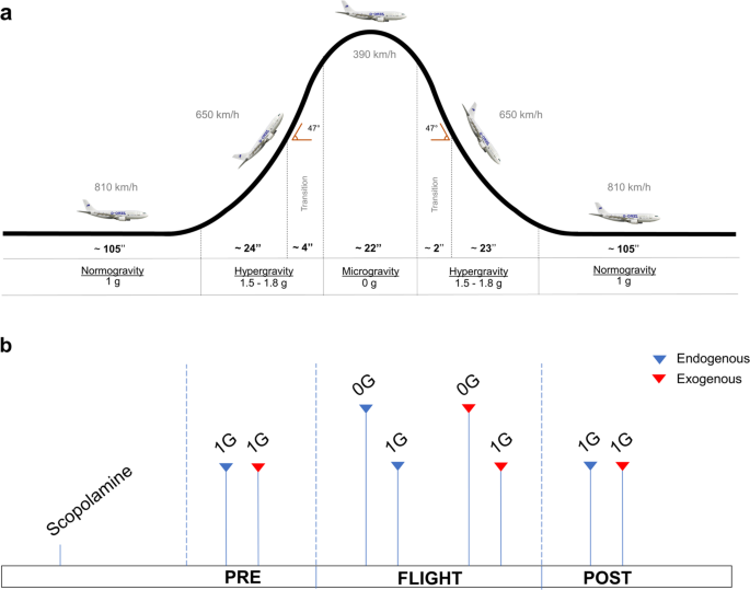 The Flight of Geryon — On Verticality