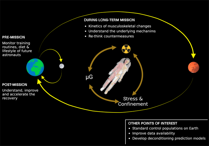 Musculoskeletal research in human space flight – unmet needs for 