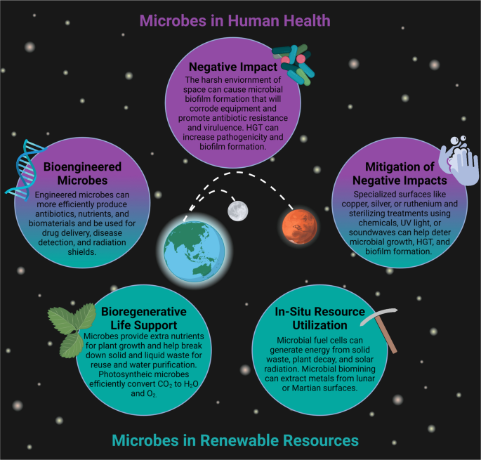 Toward sustainable space exploration: a roadmap for harnessing the power of  microorganisms