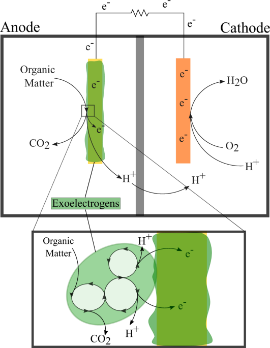 Microbial applications for sustainable space exploration beyond