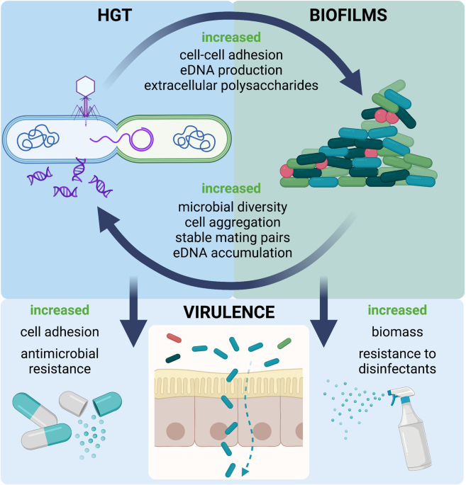 Microbial applications for sustainable space exploration beyond low Earth  orbit