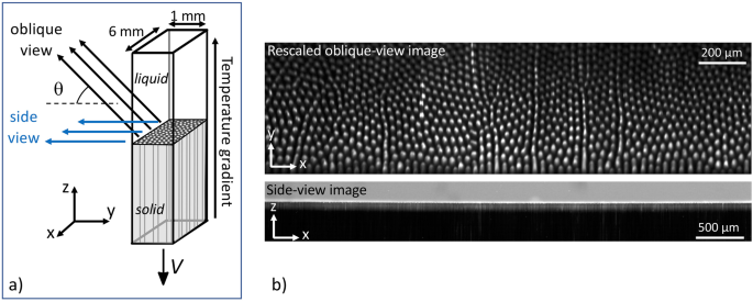 Microgravity studies of solidification patterns in model transparent alloys onboard the International Space Station - npj Microgravity