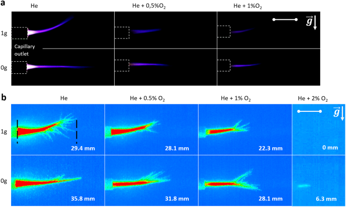 Demonstration of the operation of a cold atmospheric pressure plasma jet and its antibacterial effect in microgravity Demonstration of the operation of a cold atmospheric pressure plasma jet and its antibacterial effect in microgravity