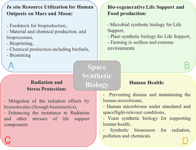 Synthetic Biology for Space Exploration