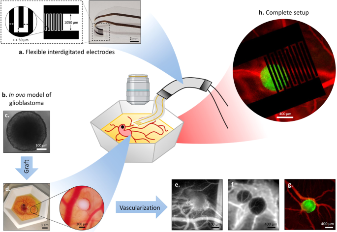 Integrating flexible electronics for pulsed electric field