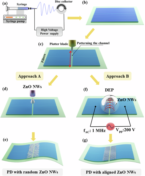 fully-degradable-transparent-and-flexible-photodetectors-using-zno