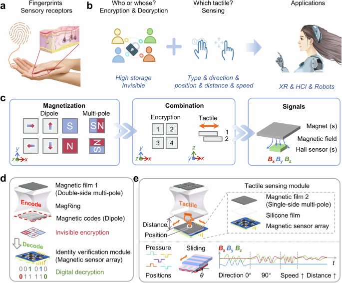 Structural flexible magnetic films for biometric encryption and tactile interaction in wearable devices