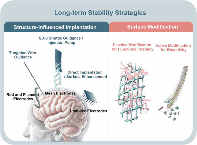 Long-term stability strategies of deep brain flexible neural interface Long-term stability strategies of deep brain flexible neural interface