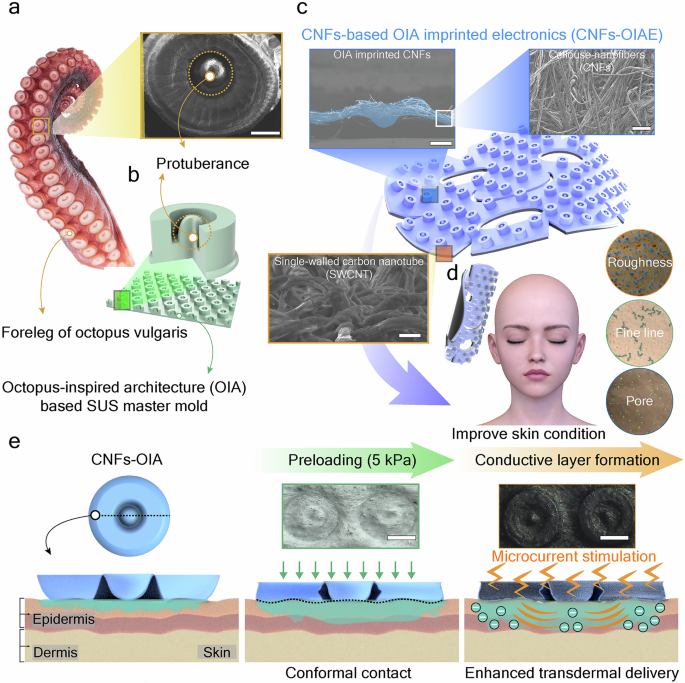 Skin-adaptive nanofiber-based adhesive electronics with octopus-like 3D suction cups for enhanced transdermal delivery