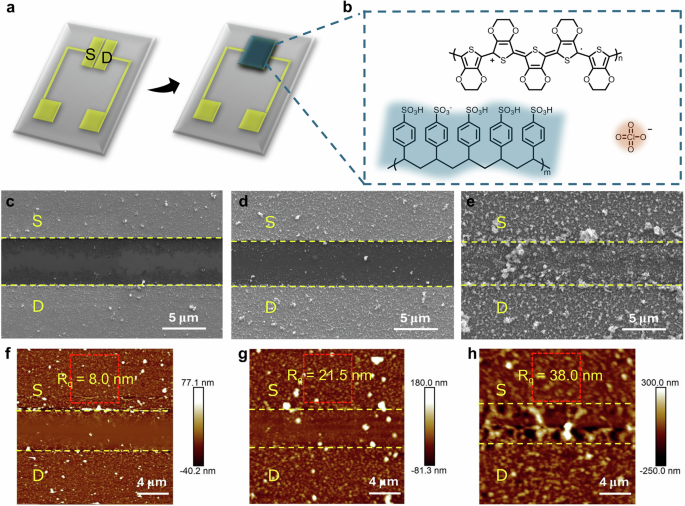Robust and flexible organic electrochemical transistors enabled by electropolymerized PEDOT