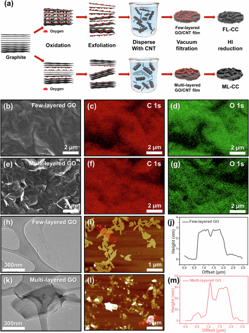 Enhancing electrochemical reversibility in lithium metal batteries through structural engineering of flexible composite current collectors Enhancing electrochemical reversibility in lithium metal batteries through structural engineering of flexible composite current collectors