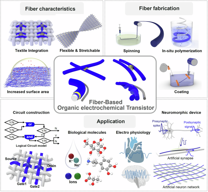 Fiber-based organic electrochemical transistors for re-shaping ...