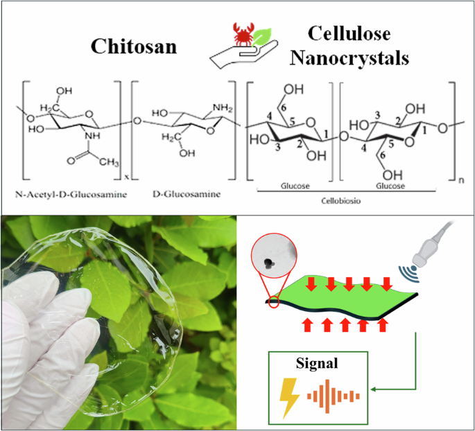 Biodegradable chitosan-cellulose and sub-spherical nanocrystals composite piezoelectric thin film