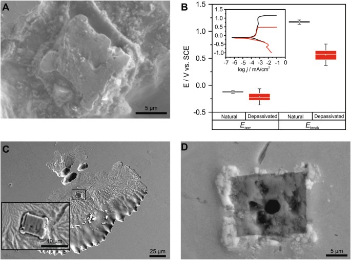 The role of titanium in the initiation of localized corrosion of