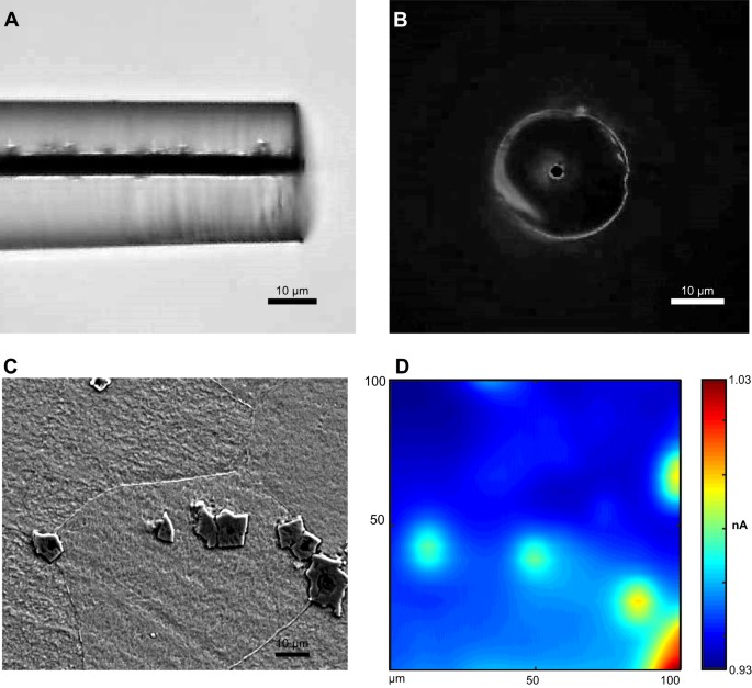 The role of titanium in the initiation of localized corrosion of