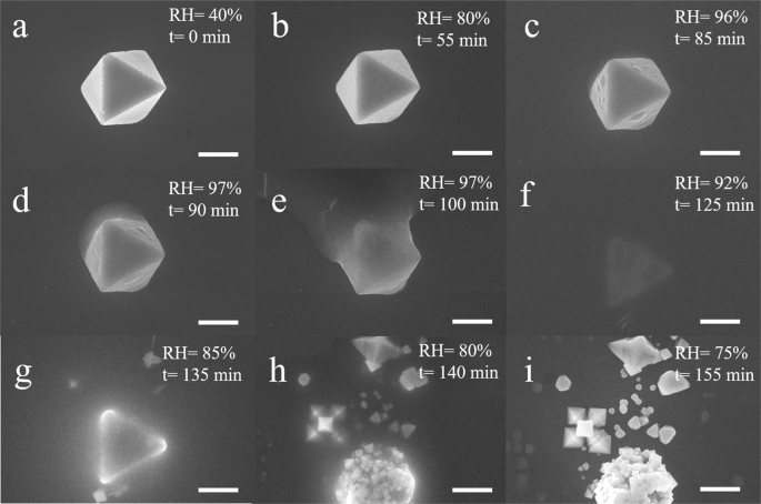 Deciphering the degradation mechanism of the lead-free all inorganic perovskite cs2sni6