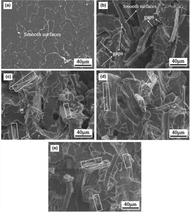 SEM images of tensile fractures of (a) neat PP, (b) raw cotton/PP, (c)
