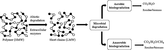 Recent advances in biodegradable polymers for sustainable applications