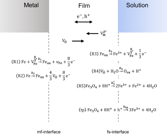 Modeling electrochemical oxide film growth—passive and transpassive behavior of iron electrodes in halide-free solution