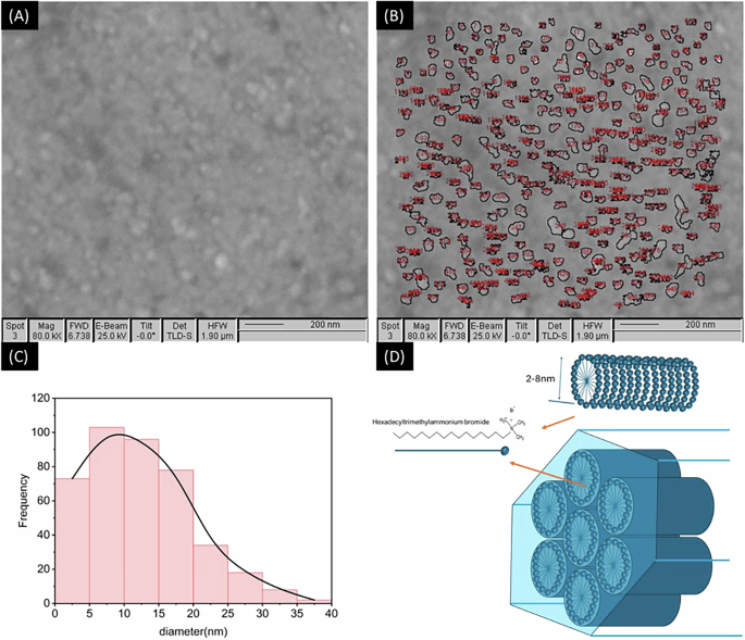Innovative Electrode Design for Enhanced Hydrogen Evolution Reaction