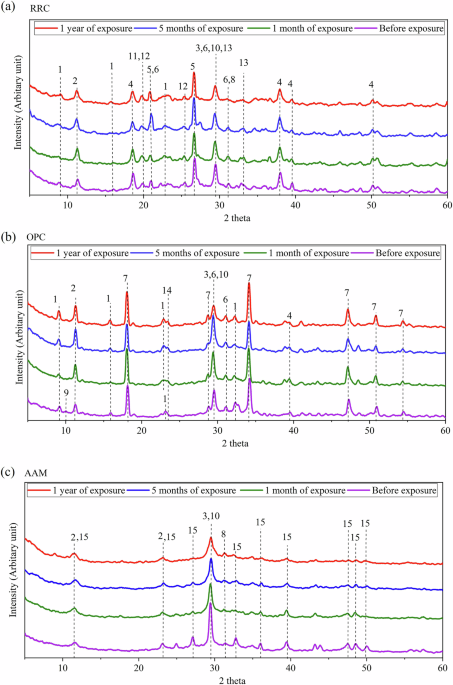 Evaluation of low-carbon cementitious composites in marine environment for coastal protection and artificial reef substrate