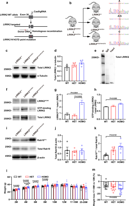 glutathione after chemotherapy Glutathione-activated prodrug-based self-delivering nanomedicines for  tumoricidal chemo-photodynamic synergistic therapy