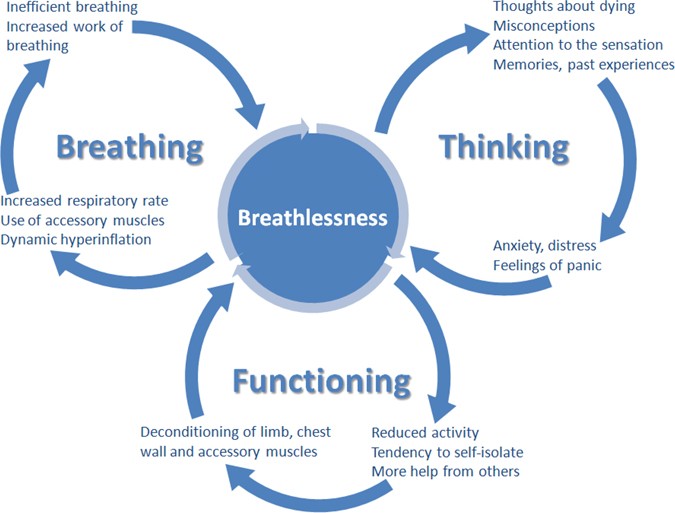 The Breathing, Thinking, Functioning clinical model: a 