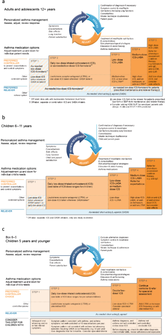 Comparing LAMA with LABA and LTRA as add-on therapies in primary care  asthma management | npj Primary Care Respiratory Medicine