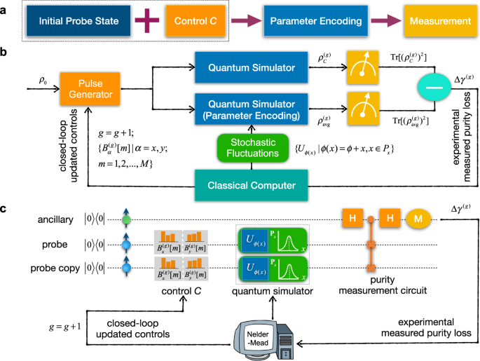Probe Optimization For Quantum Metrology Via Closed Loop Learning Control Npj Quantum Information