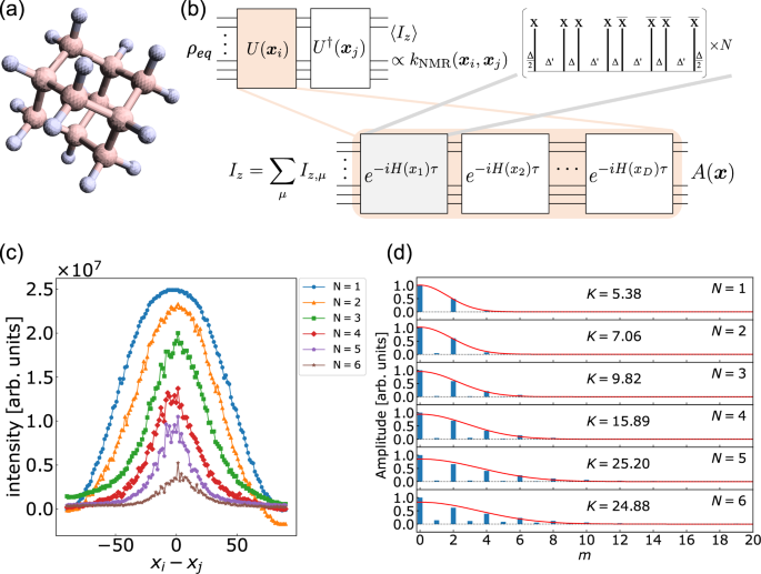 Experimental quantum kernel trick with nuclear spins in a solid